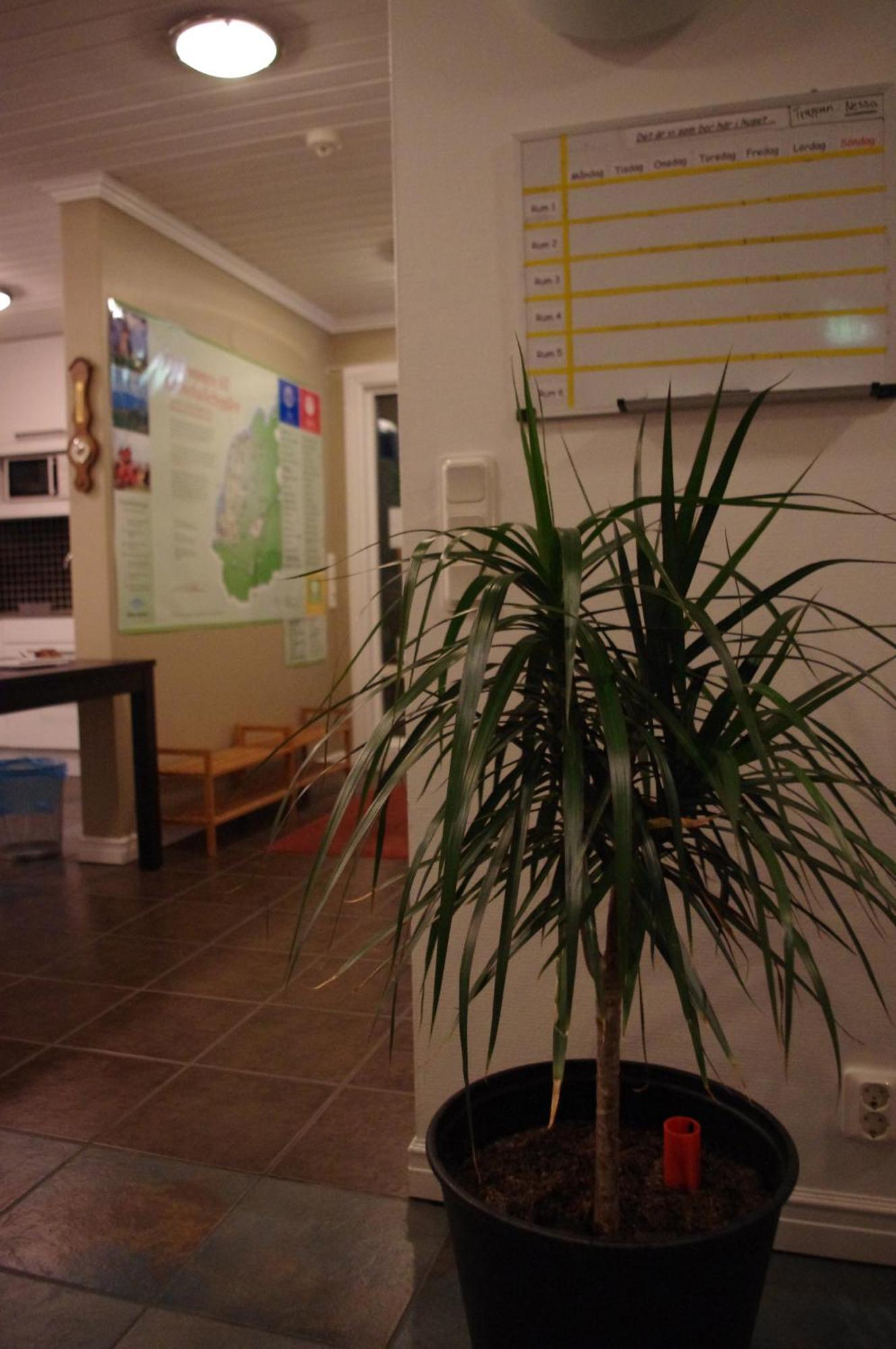Aeventyrsgardens Vandrarhem, Kinnekulle Kallby Luaran gambar