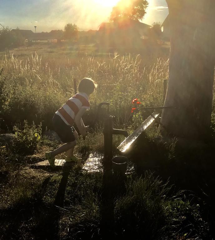 Aeventyrsgardens Vandrarhem, Kinnekulle Kallby Luaran gambar